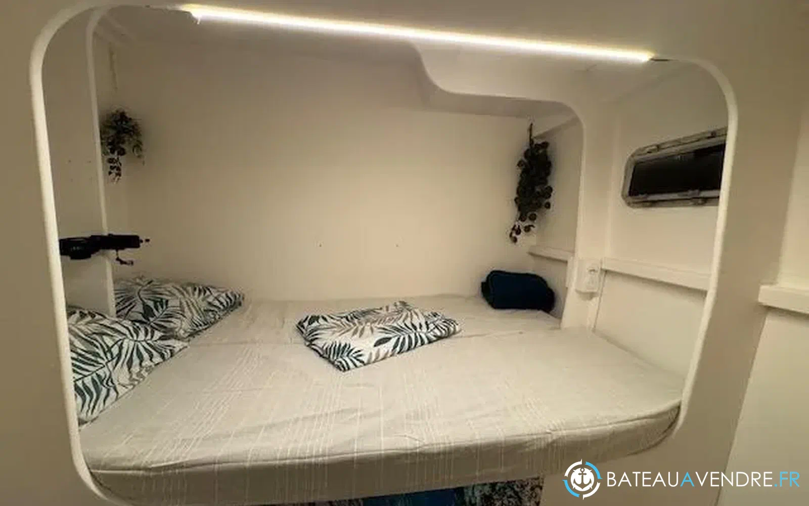 slider 29 Etoile Marine Maxi Cat 24