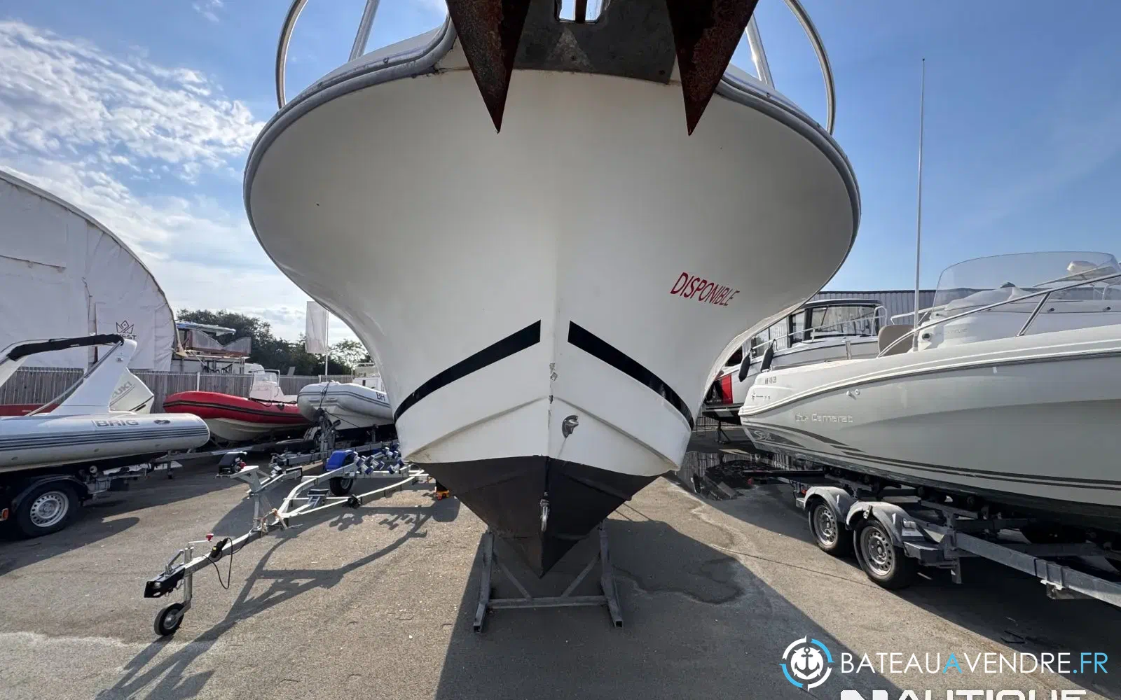slider 5 White Shark 225