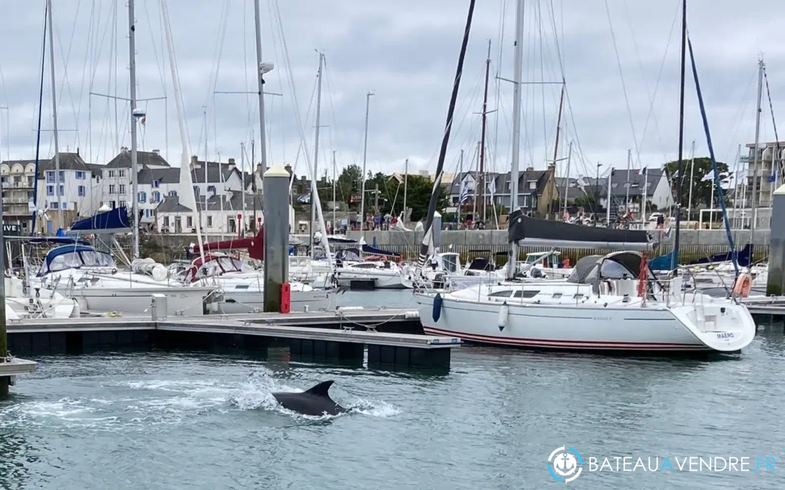 slider 0 Place de port Port Haliguen – Quiberon (13,99 x 4,60 m)
