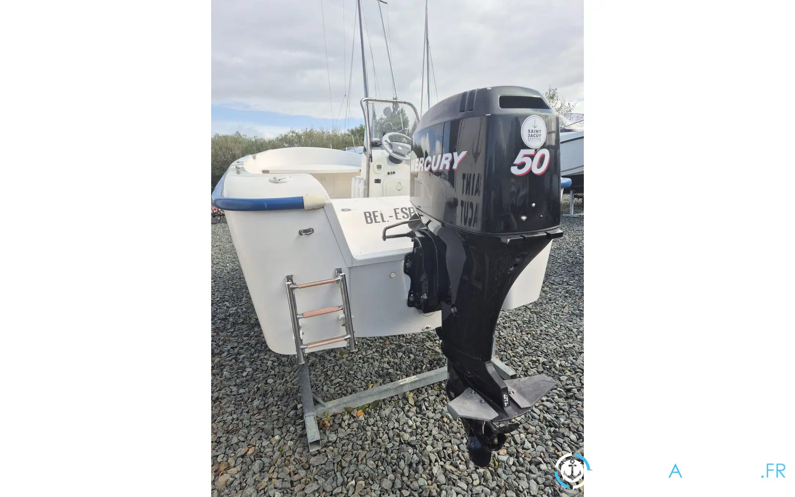 slider 6 Quicksilver 500 Fish