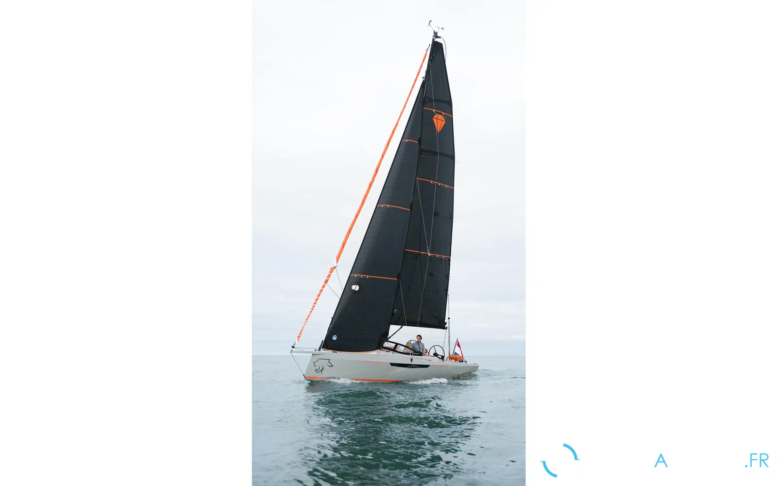 slider 9 Saffier SE 28 Leopard
