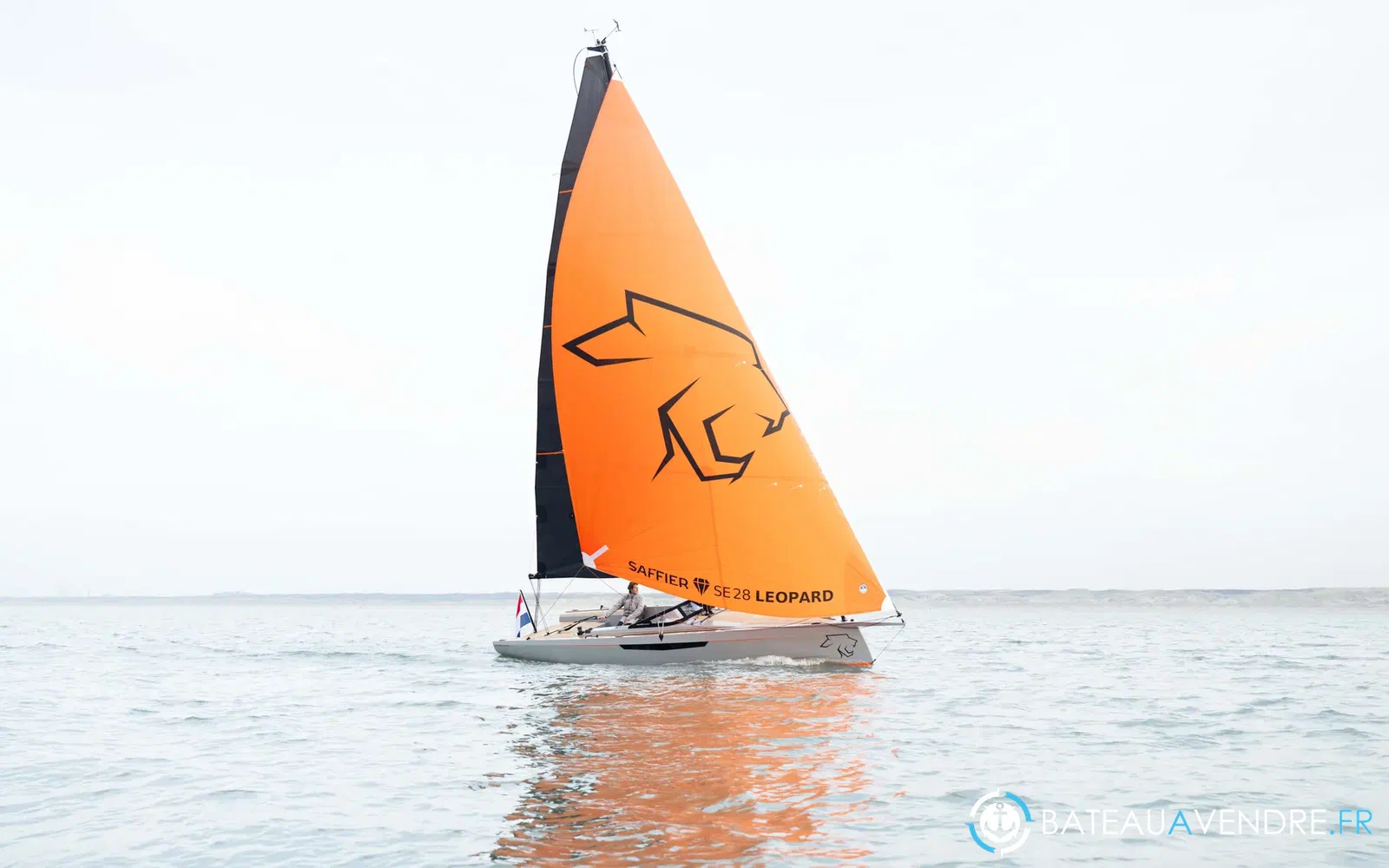 slider 1 Saffier SE 28 Leopard