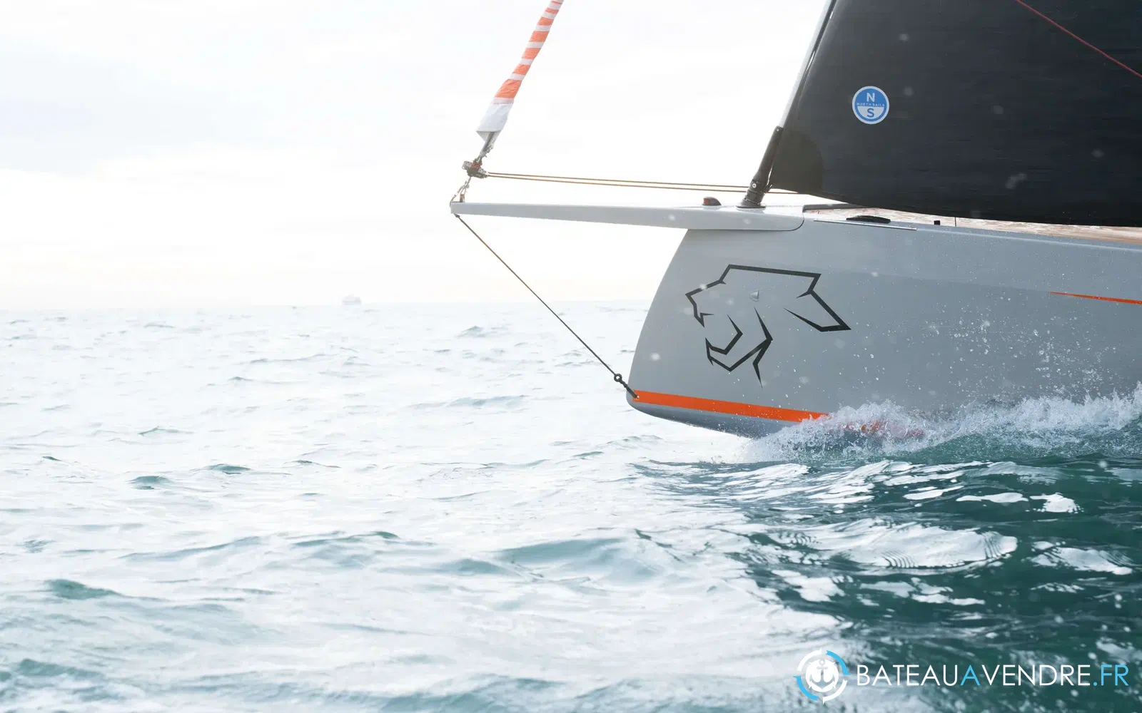 slider 23 Saffier SE 28 Leopard