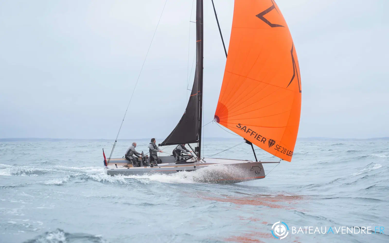 slider 4 Saffier SE 28 Leopard
