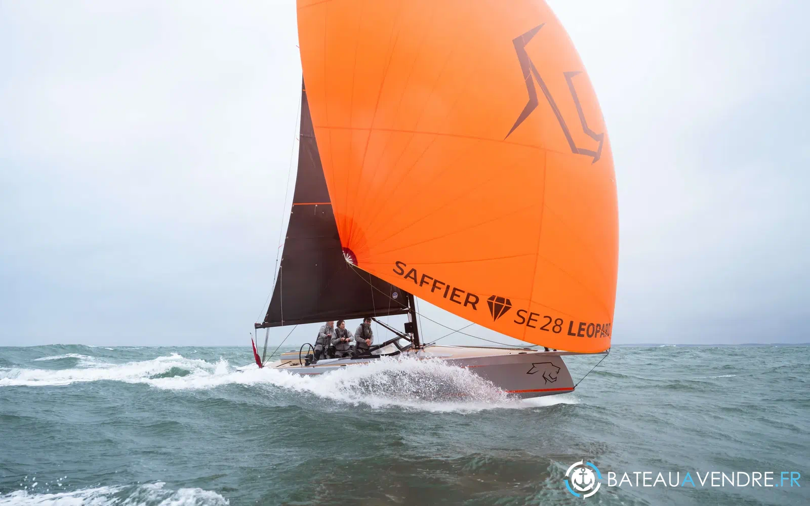 slider 5 Saffier SE 28 Leopard