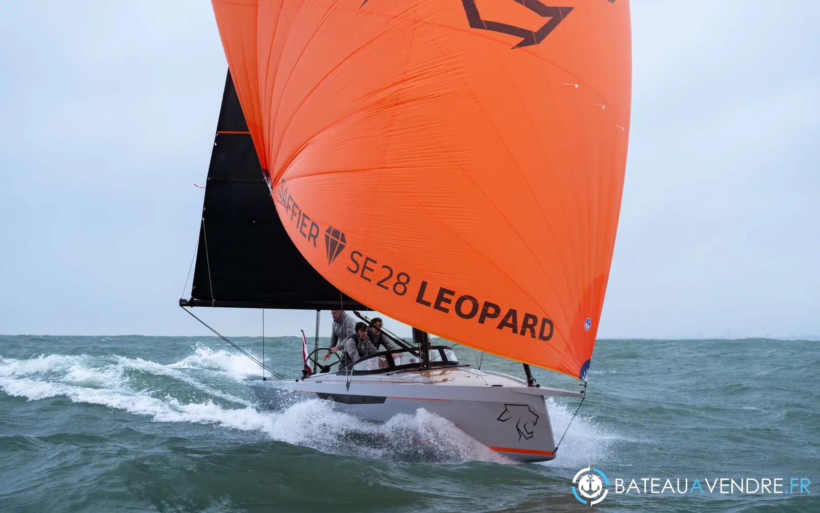 slider 6 Saffier SE 28 Leopard