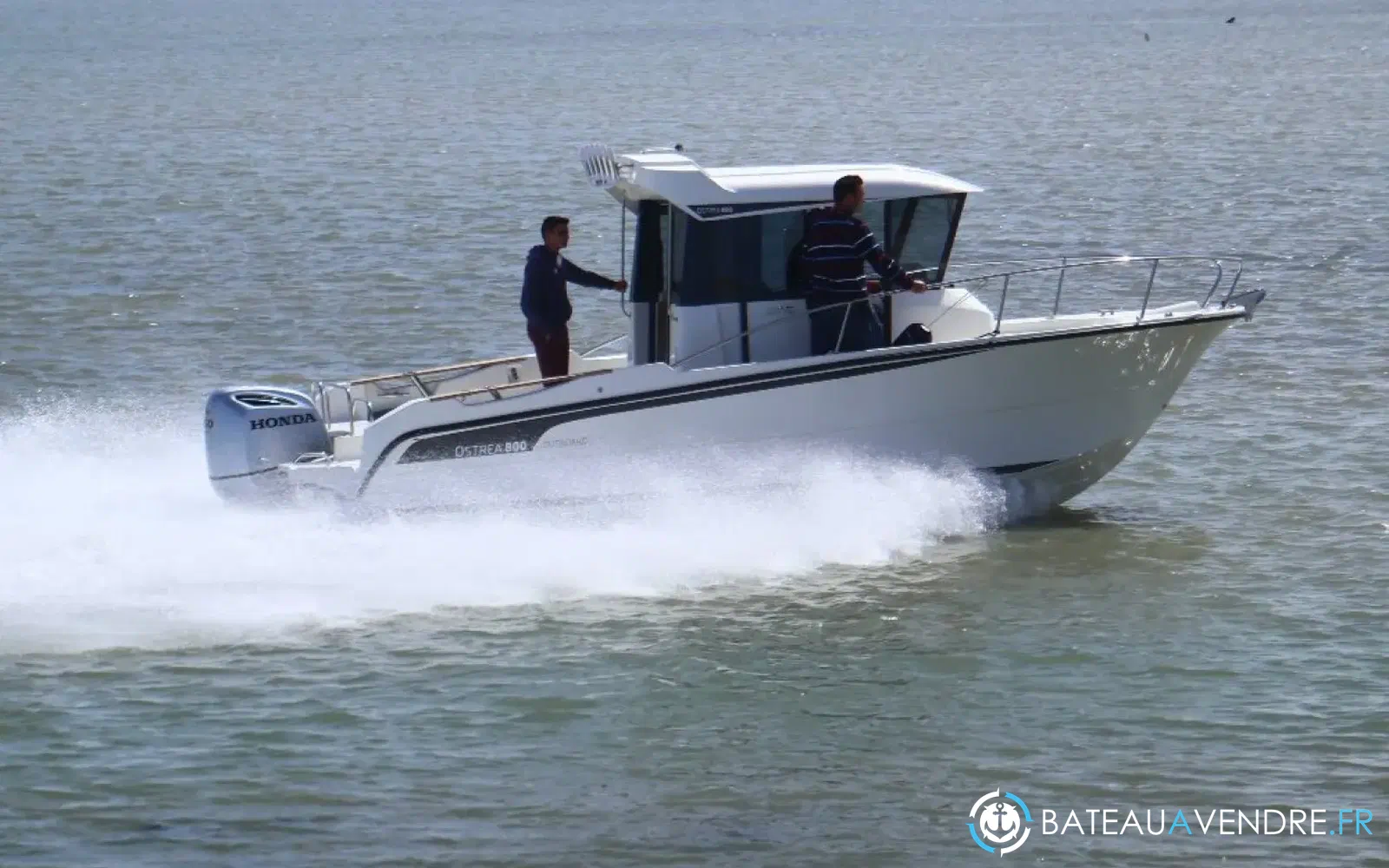 slider 0 Ocqueteau Ostrea 710 Timonier