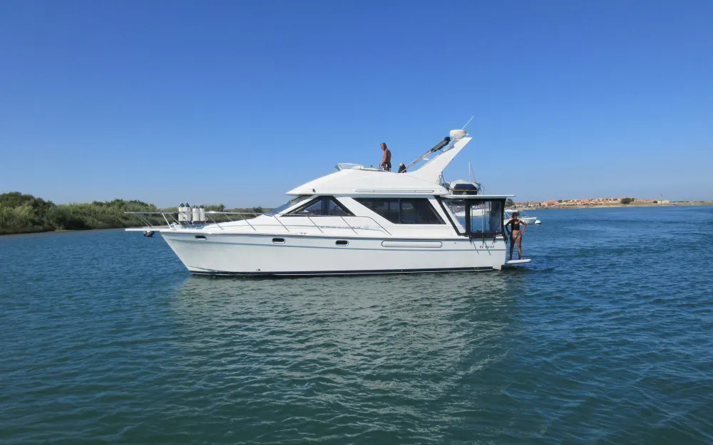BaylinerBayliner 3988