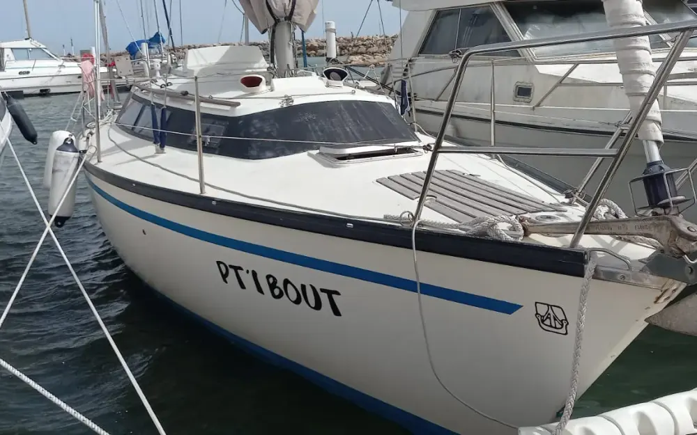 DufourDufour 29