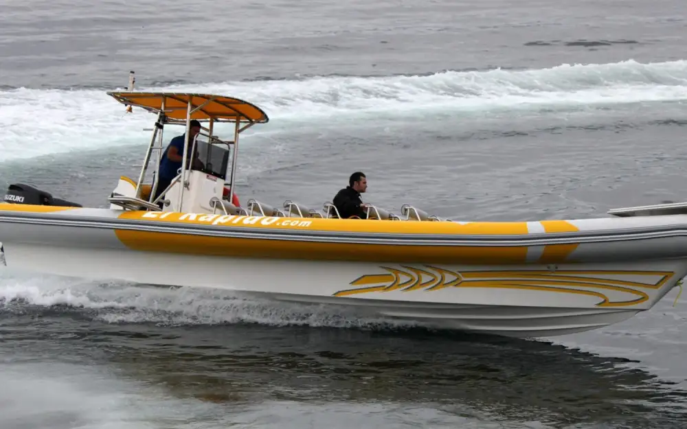 slider 20 Narwhal Fast 1100