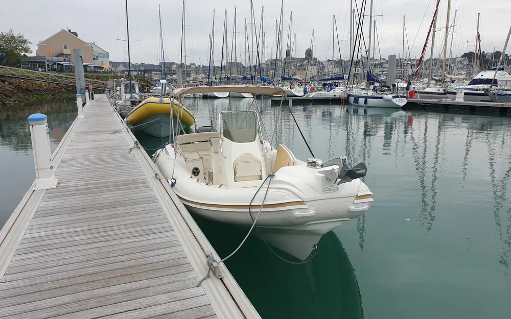 Nuova JollyPrince 23