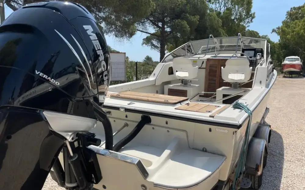 slider 3 Boston Whaler  22 Revenge