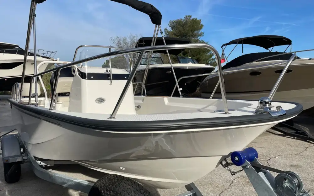 slider 8 Boston Whaler  170 Montauk
