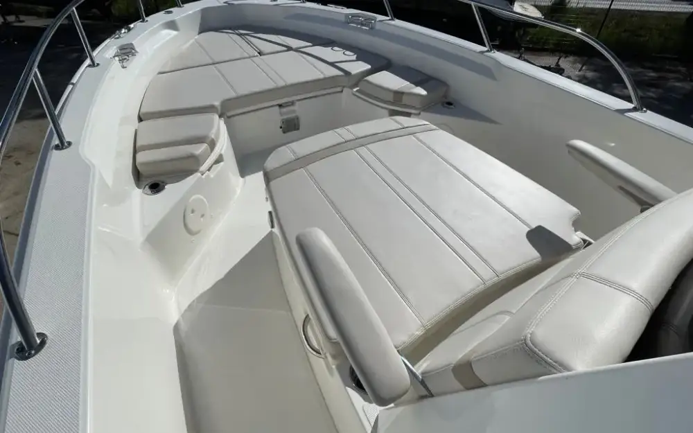 slider 7 Boston Whaler  250 Dauntless