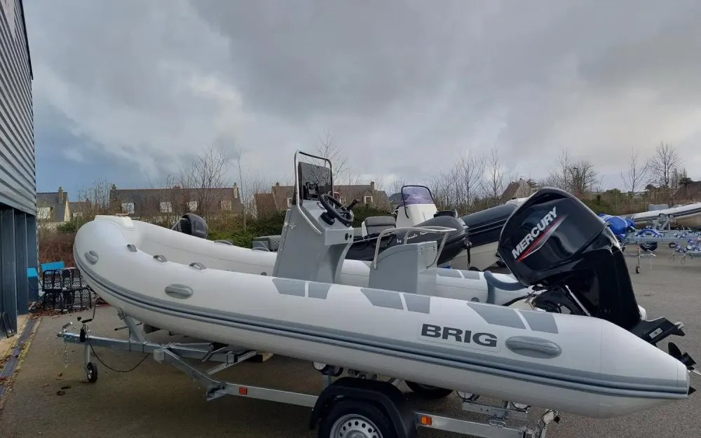 BrigFalcon 500