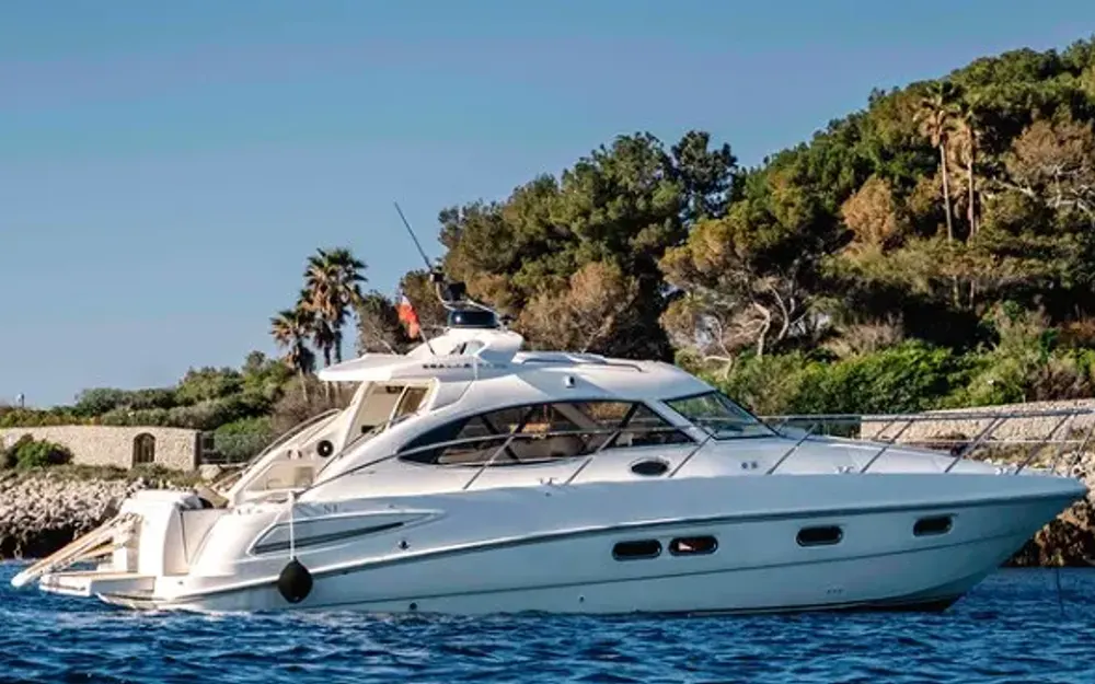 SealineSealine SC 39