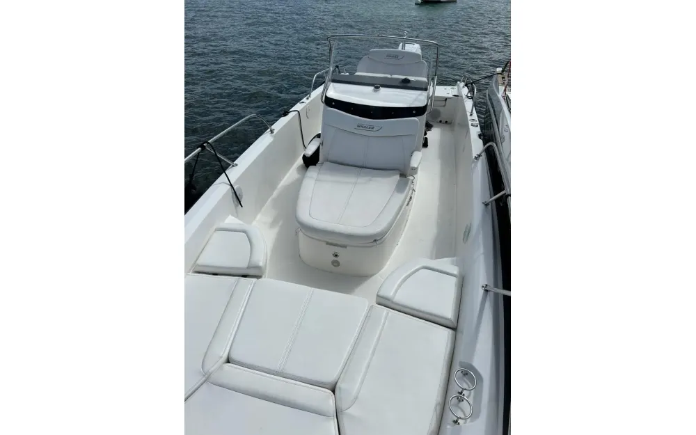 slider 4 Boston Whaler  270 Dauntless