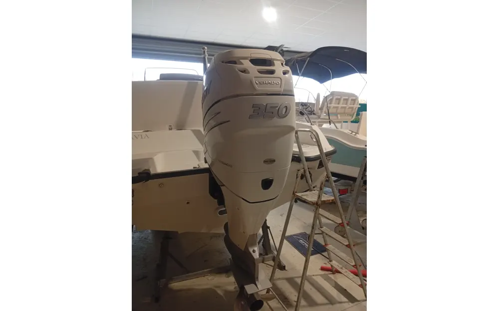 slider 6 Boston Whaler  270 Dauntless