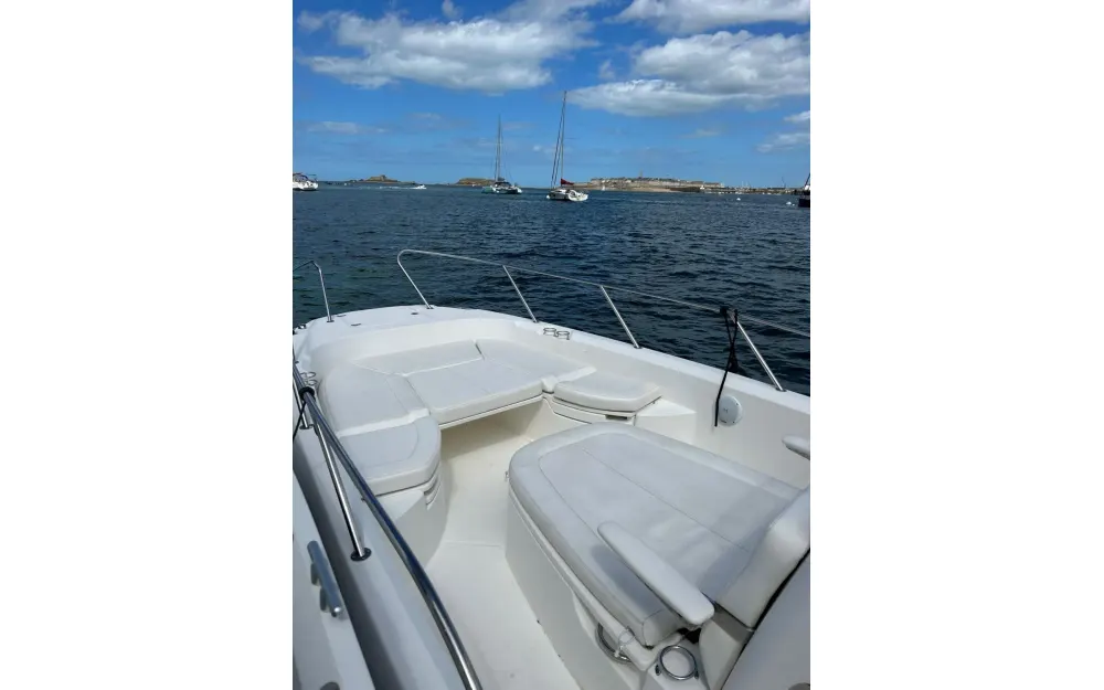slider 3 Boston Whaler  270 Dauntless