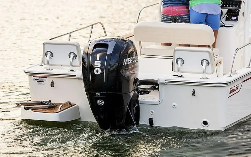 slider 3 Boston Whaler  190 Montauk