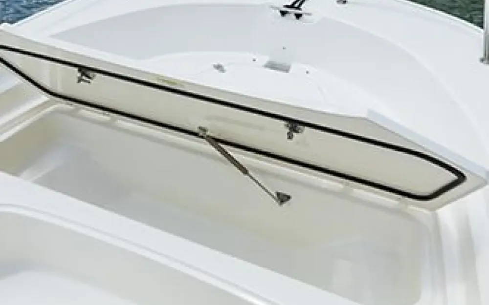 slider 4 Boston Whaler  190 Montauk