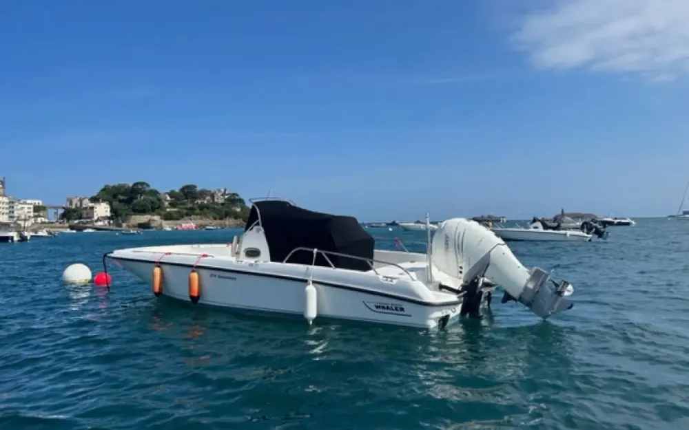 slider 1 Boston Whaler  270 Dauntless