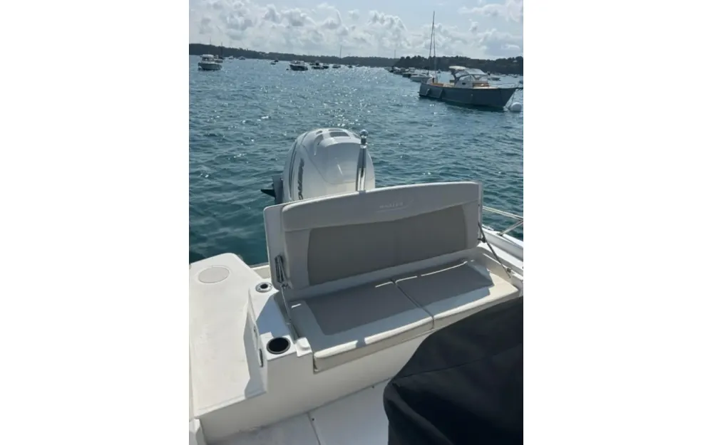 slider 4 Boston Whaler  270 Dauntless
