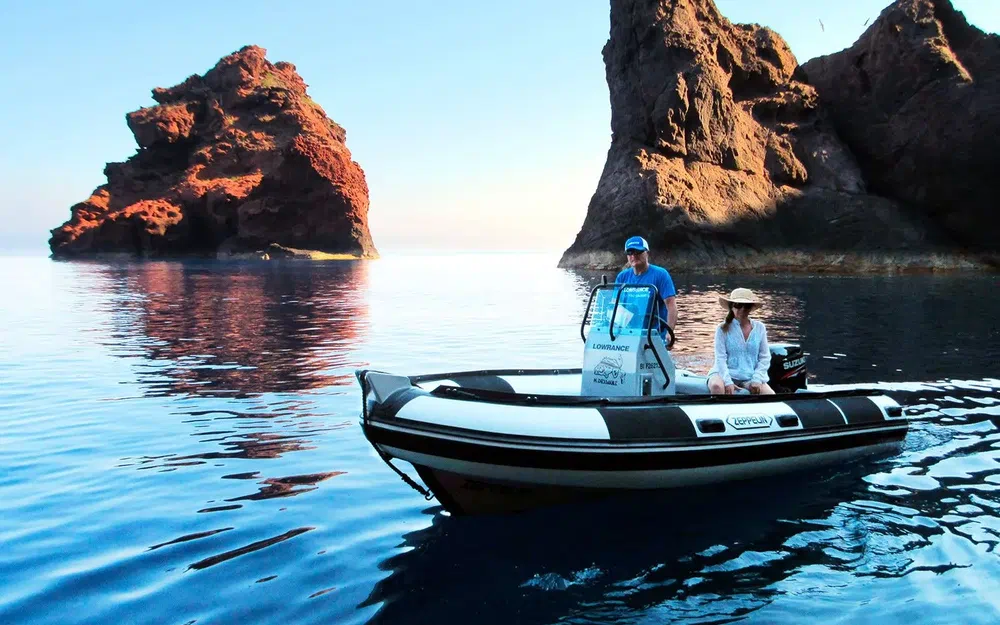 ZeppelinZeppelin 16 VPRO