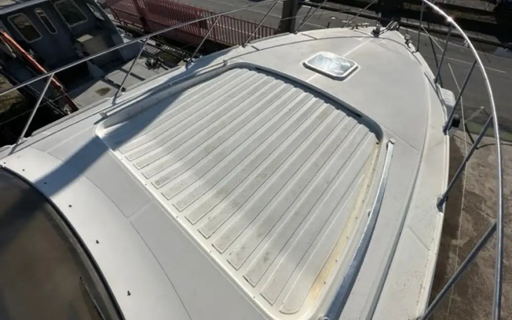 slider 12 Alfa Marine  47