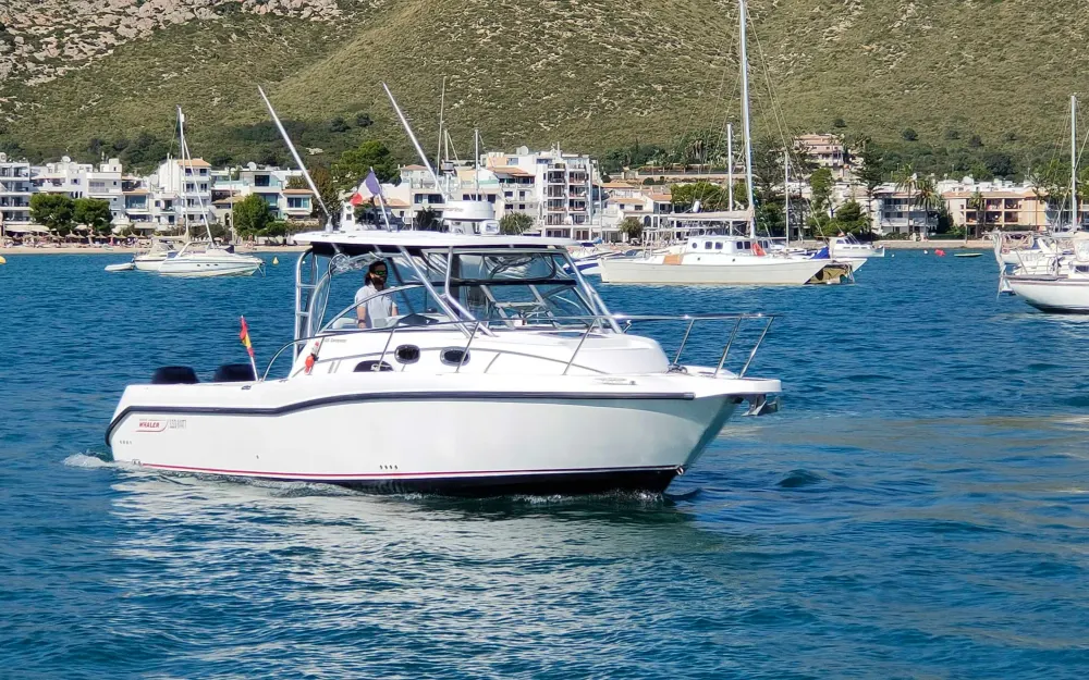 Boston WhalerBoston Whaler 305 Conquest