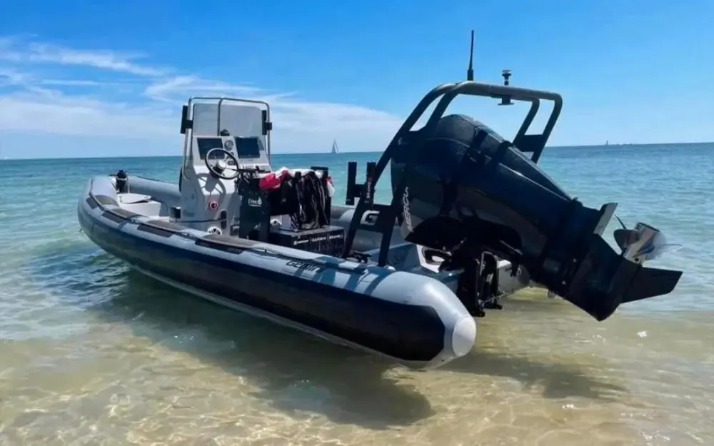 GeminiGemini 650