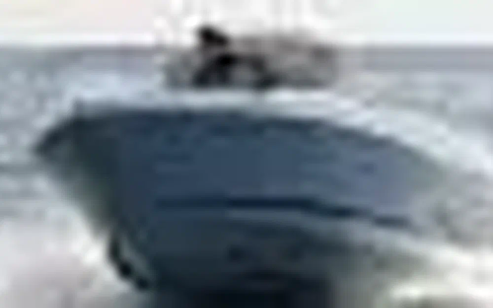 slider 1 B2 Marine Cap Ferret 572