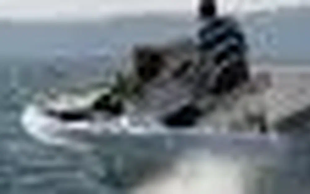 slider 3 B2 Marine Cap Ferret 572