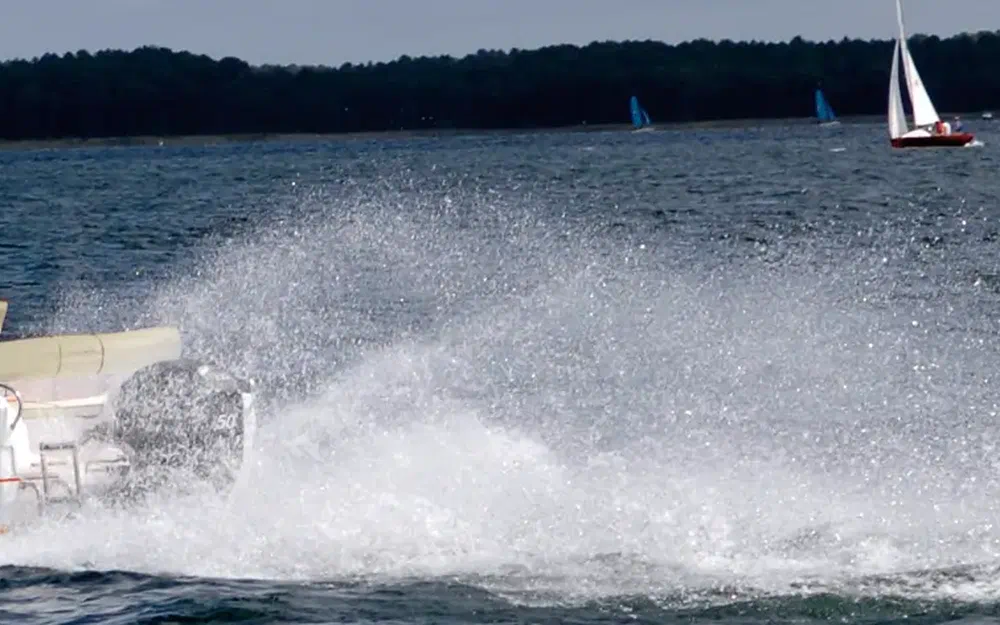 slider 1 B2 Marine Cap Ferret 522