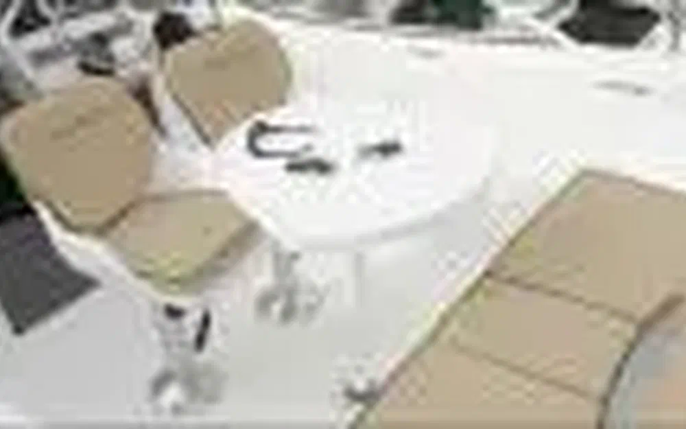 slider 10 B2 Marine Cap Ferret 522