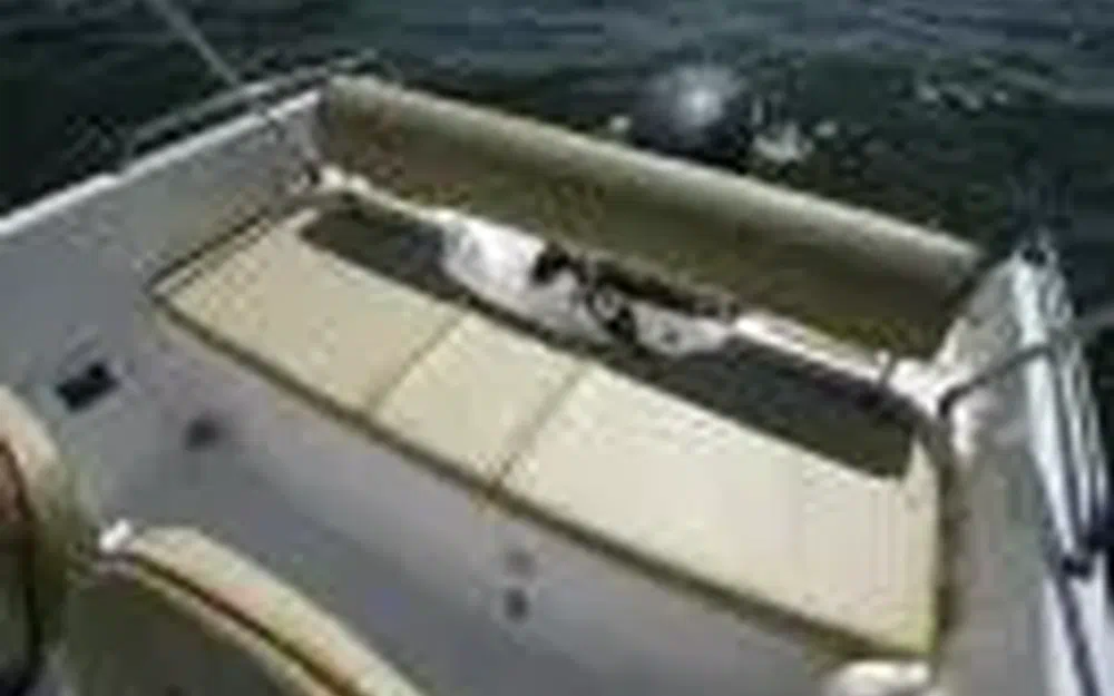 slider 2 B2 Marine Cap Ferret 522