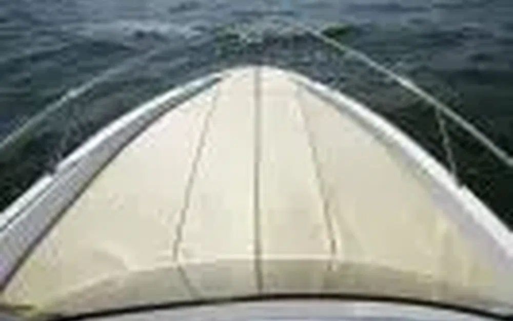 slider 3 B2 Marine Cap Ferret 522