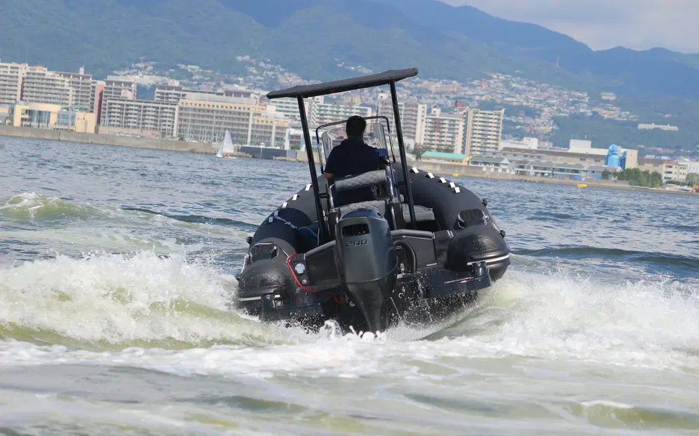 slider 12 3D Tender Dream 655
