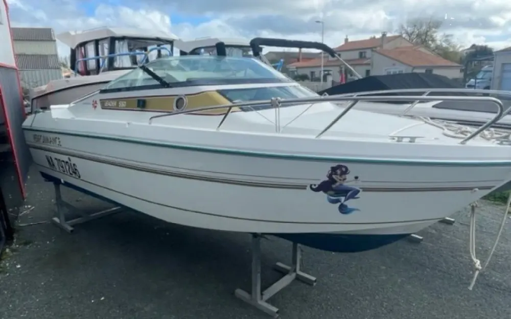 JeanneauLeader 550