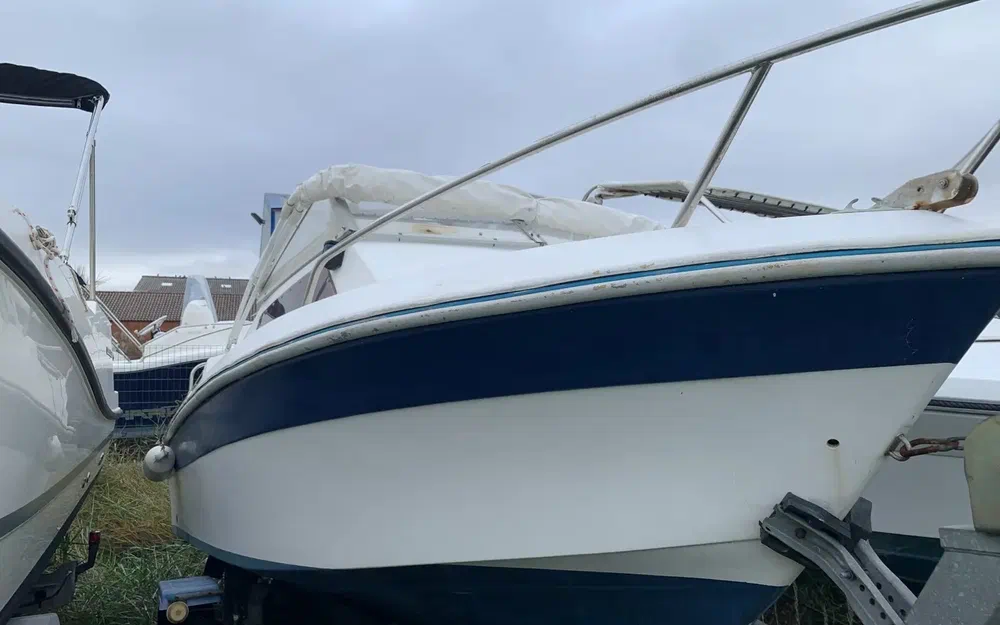 JeanneauSkanes 470
