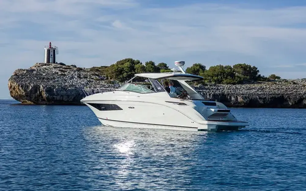 Sea RaySundancer 320