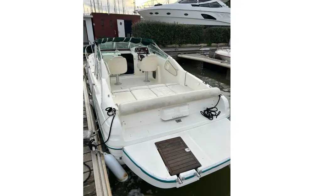 JeanneauLeader 705