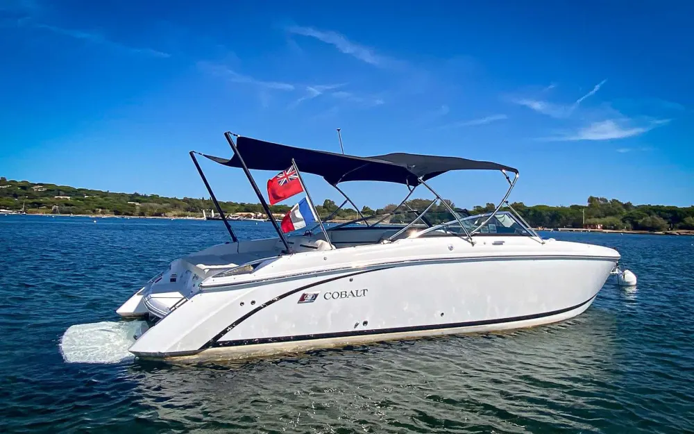 CobaltCobalt R30
