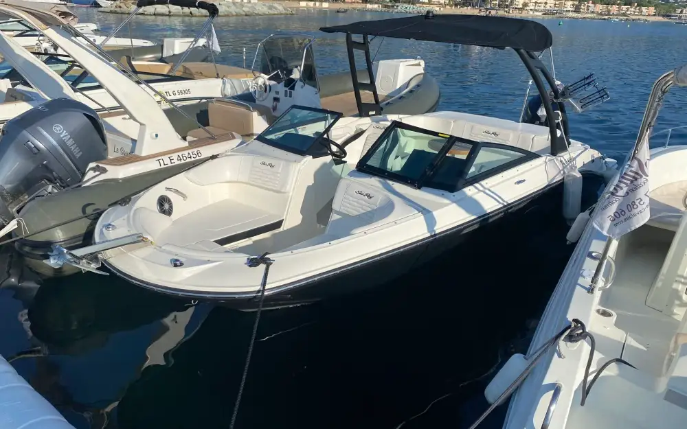 Sea RaySea Ray 210