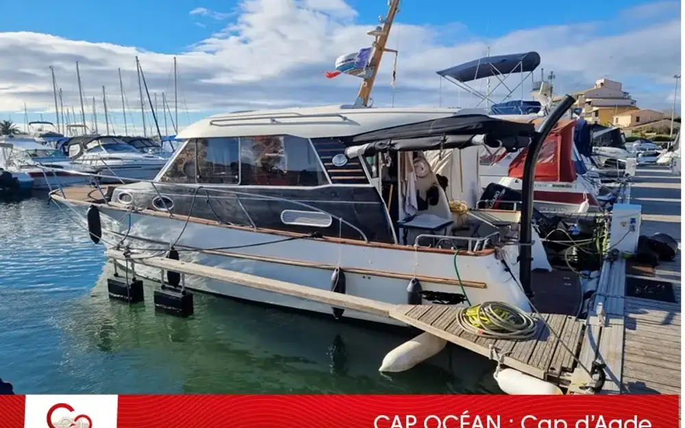 ACMElite 31