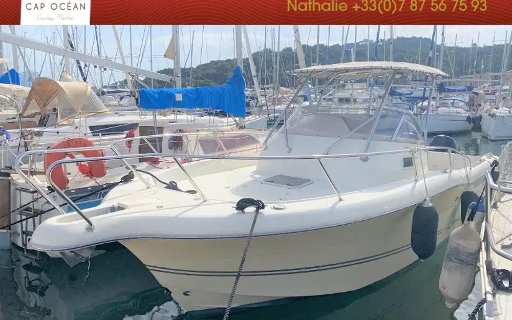 KeltWhite Shark 268