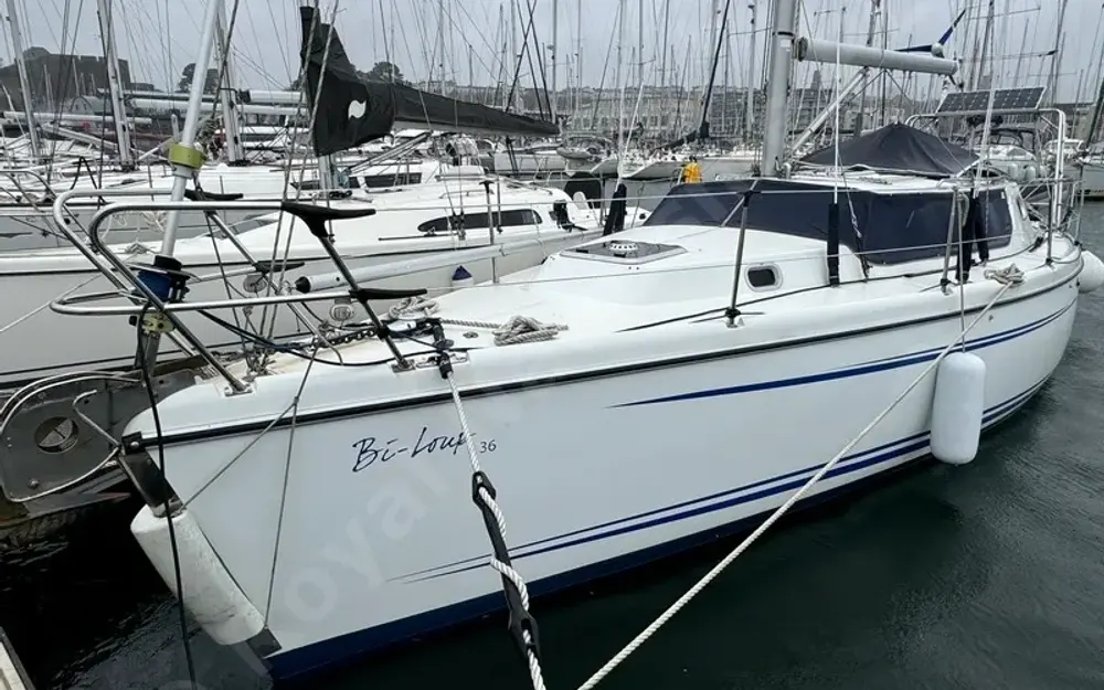 WrightonBiloup 36