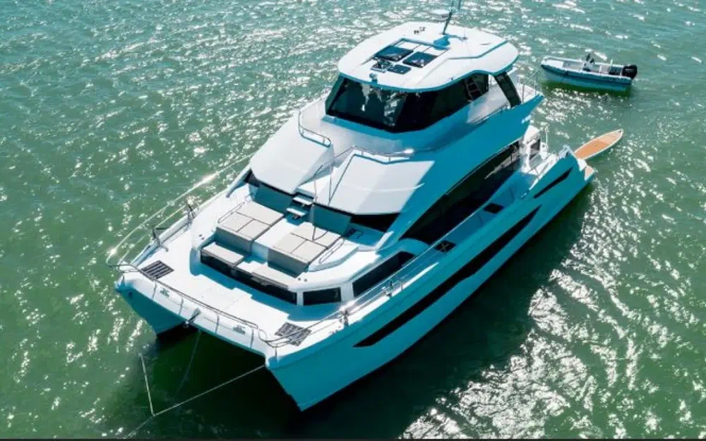 AquilaAquila 54