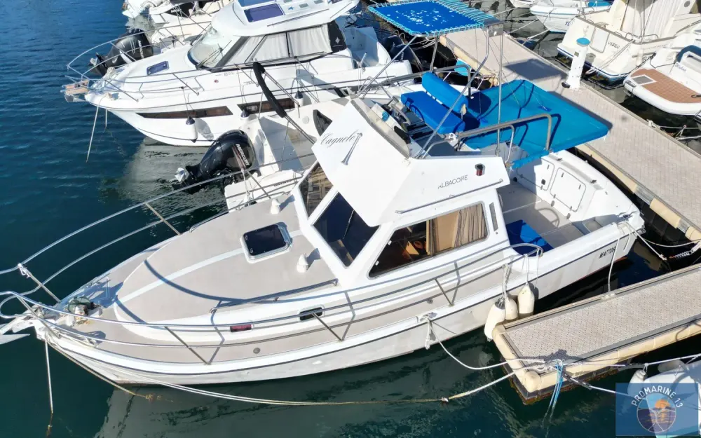 AlbacoreAlbacore 895