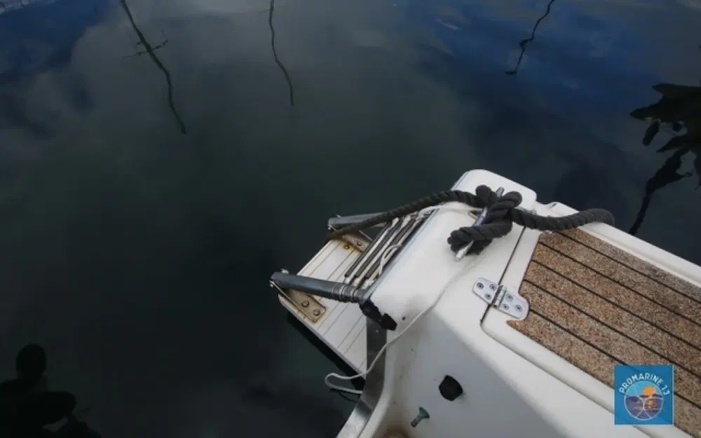 slider 25 Kelt White Shark 215